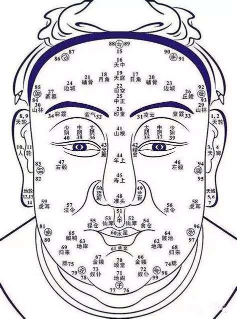 鼻子看相|史上最全的面相五官“算命”图文详解（精品收藏）